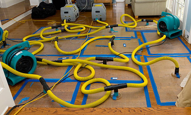 Professional Water Damage Repair technician working in Souderton, PA